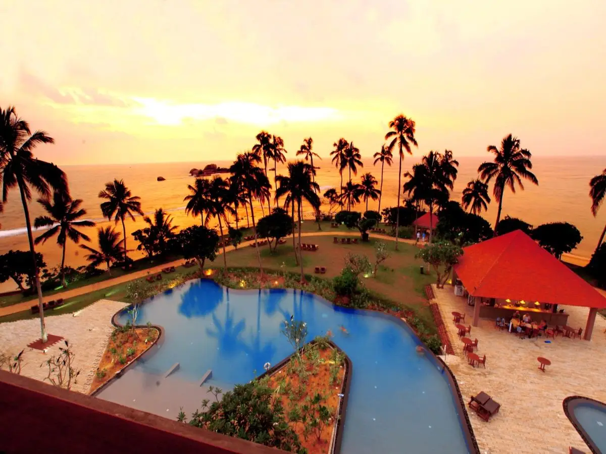 Hikka Tranz by Cinnamon